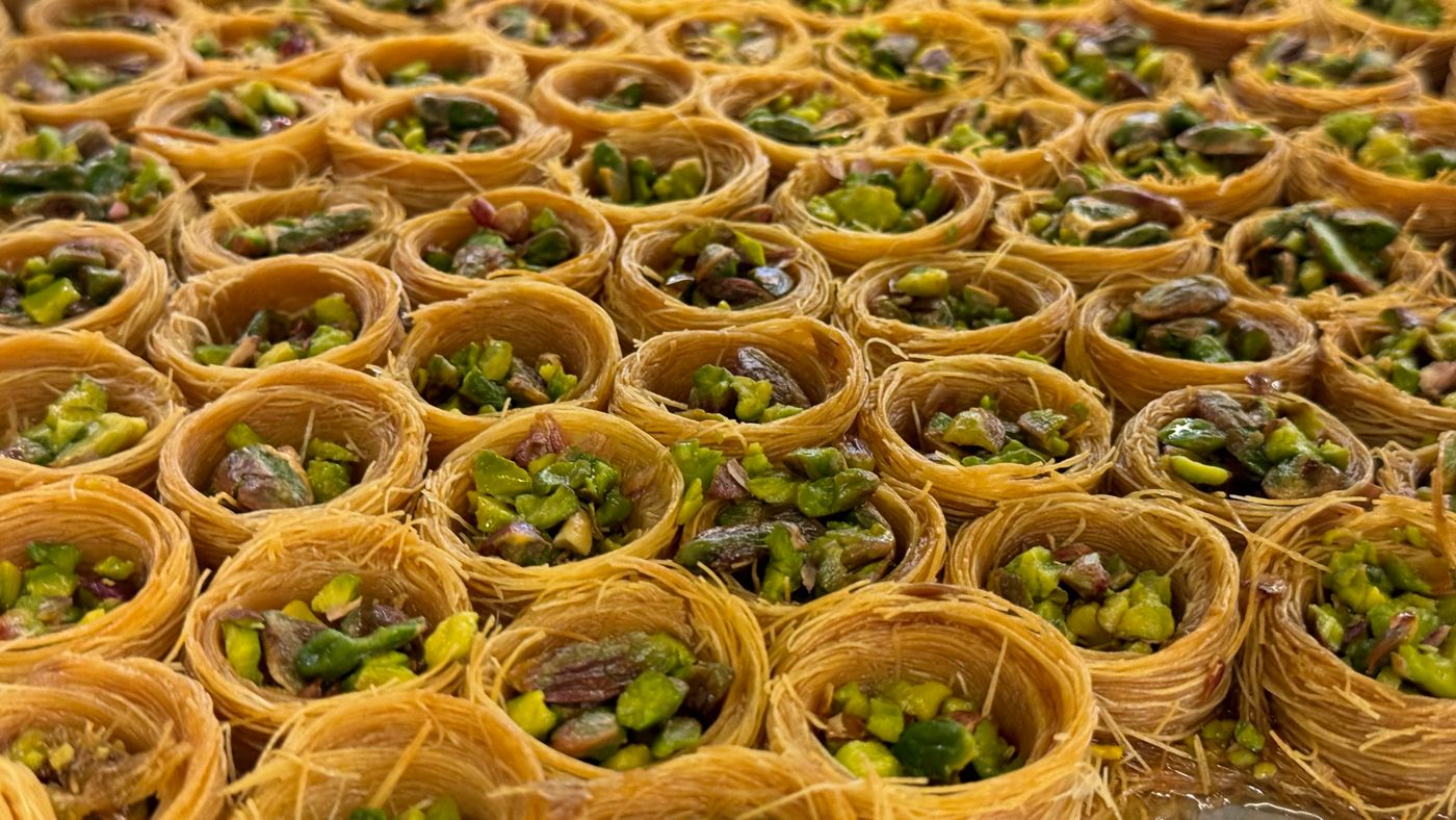 Bülbül Yuvası